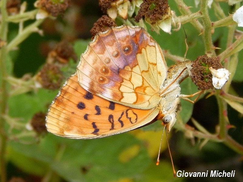 Parco del Ticino 13.6.15
